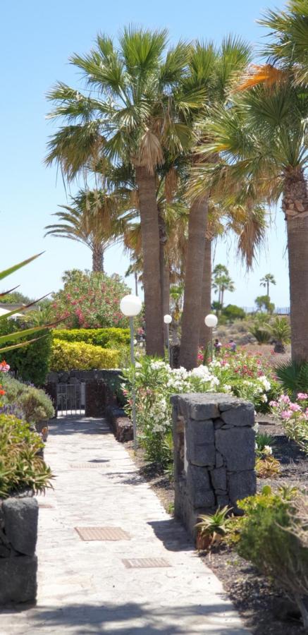 Cosy Well Located Tenerife Sur Golf Apartment *