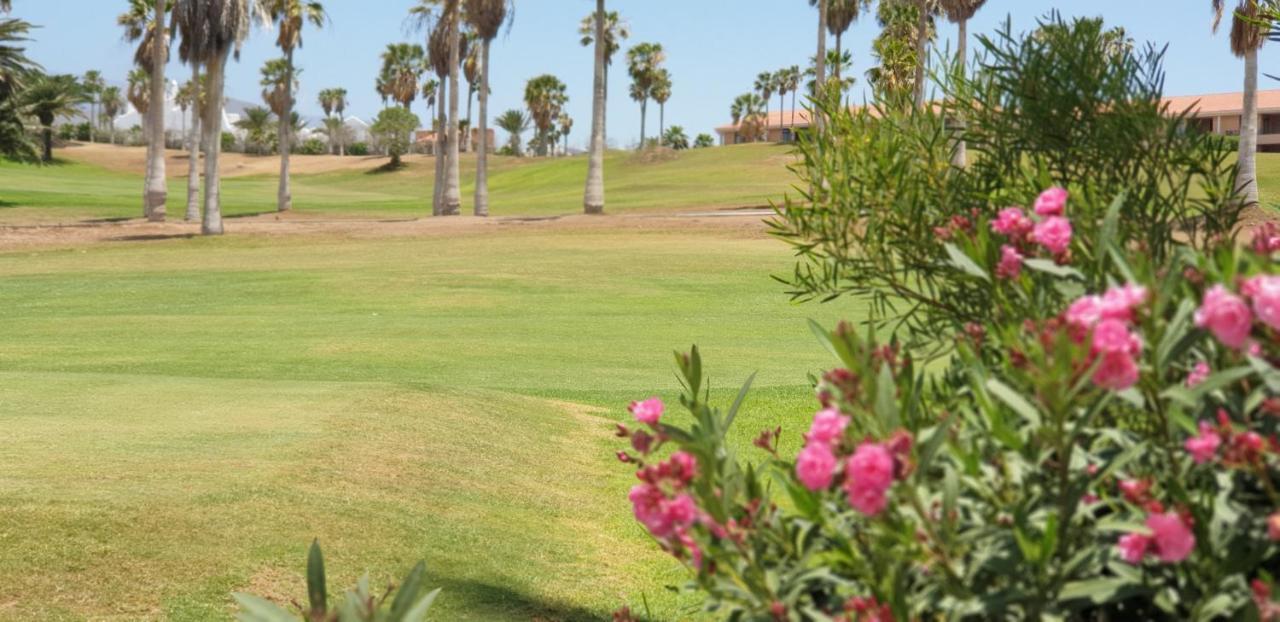 Cosy Well Located Tenerife Sur Golf Apartment *