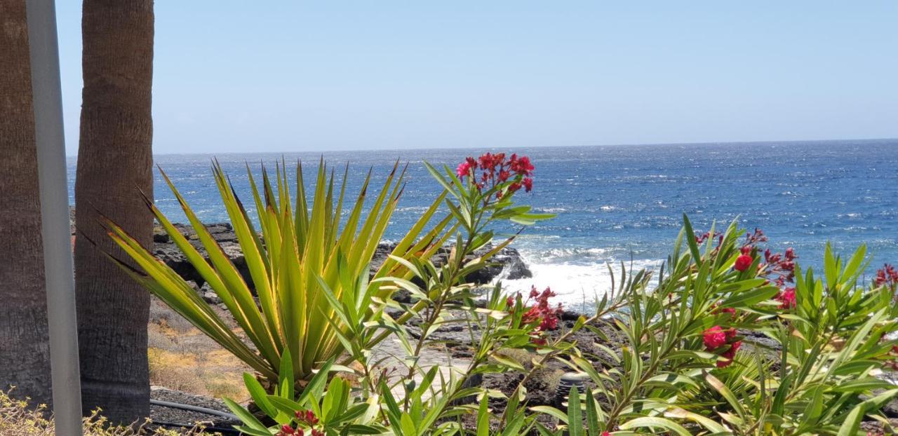 Apartament Cosy Well Located Tenerife Sur Golf